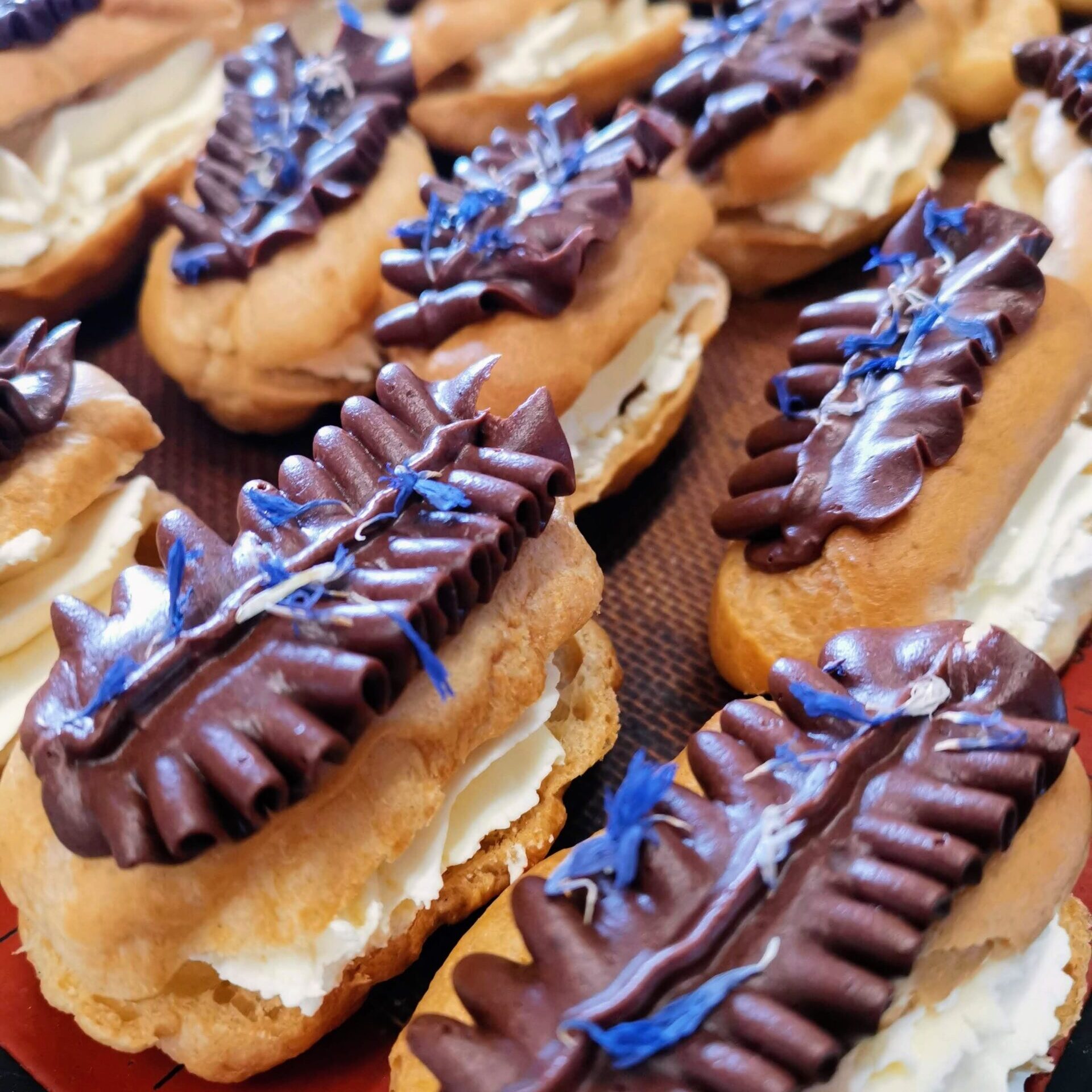 IMG_20220301_120336-2